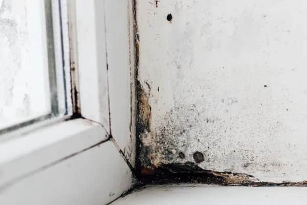 Schimmel entfernen an der Wand in Friesoythe