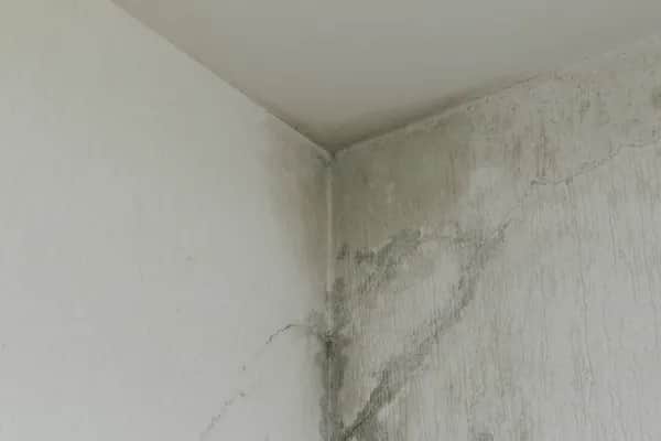 Schimmel in der Wohnung in Oldenburg