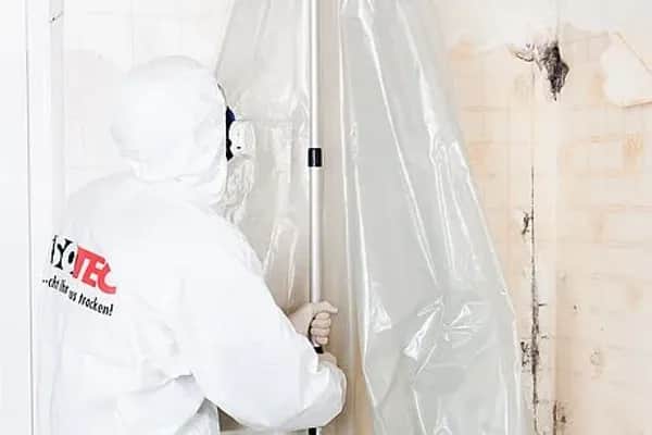 Schimmel an der Wand bekämpfen - Ursachen, Risiken und Lösungen