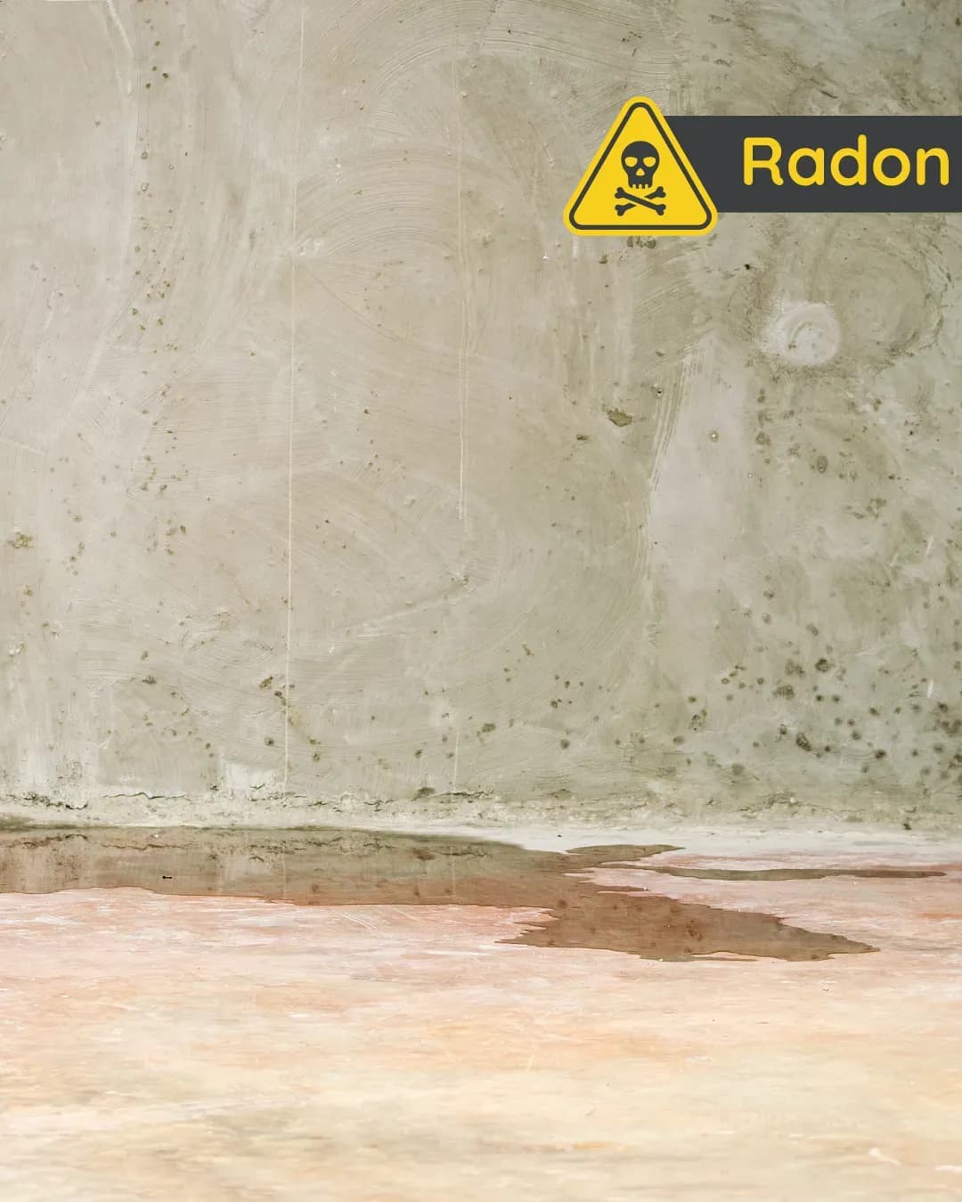 Asbest & Radon im Altbau - Unsichtbare Risiken rechtzeitig erkennen in Oldenburg