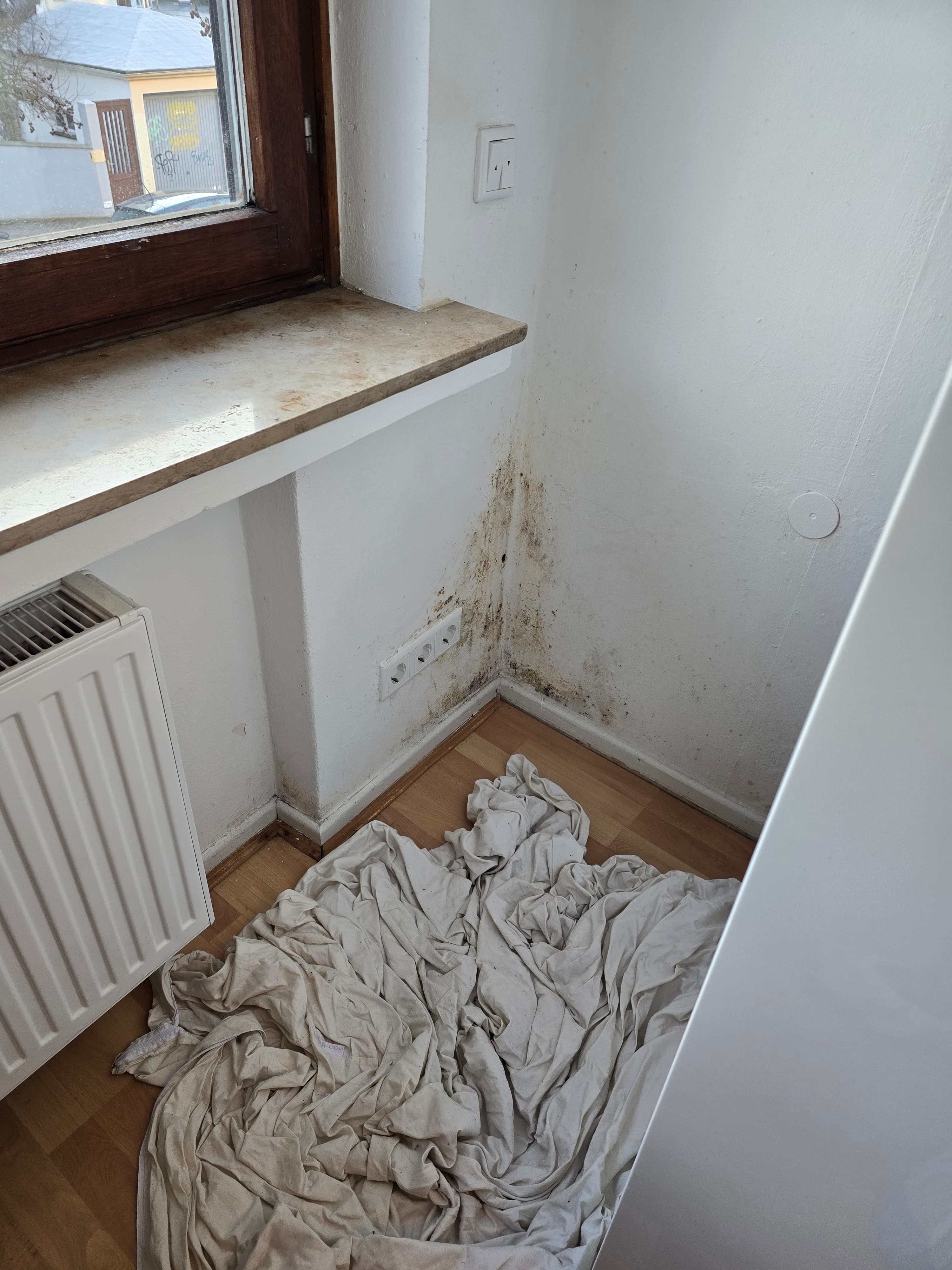 Schimmel in Vechta? Wir lösen das Problem.