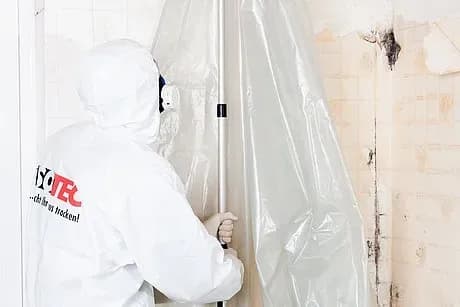Schimmel an der Wand bekämpfen - Ursachen, Risiken und Lösungen