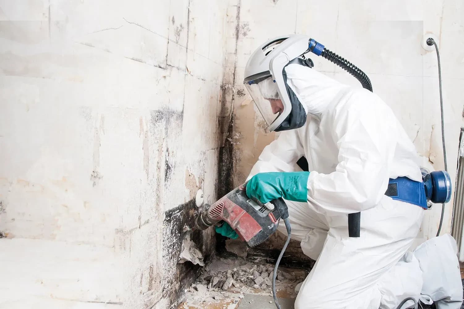 Schimmel an der Wand bekämpfen - Ursachen, Risiken und Lösungen