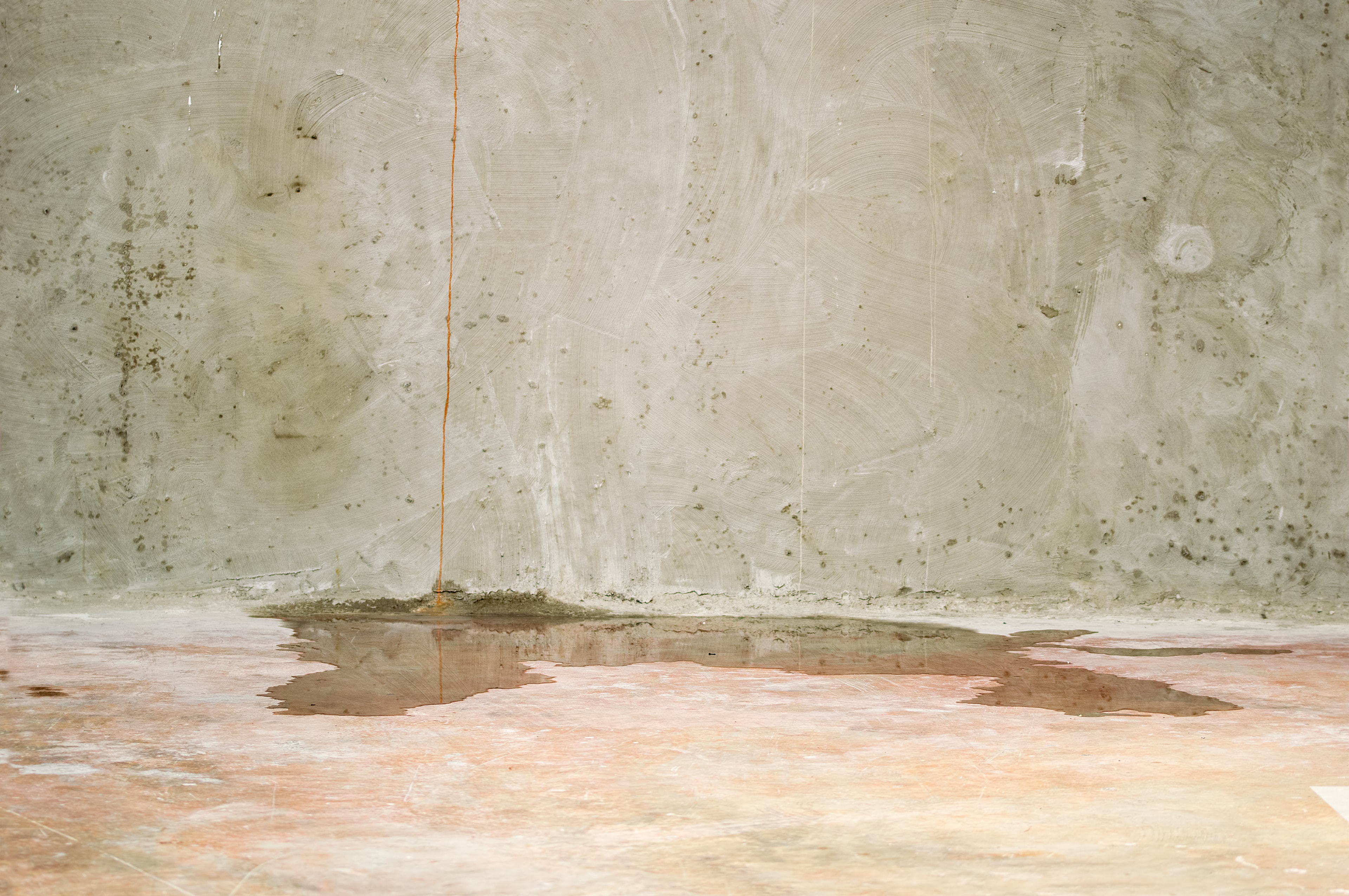 Wasser im Keller in Löningen - Was muss ich tun?