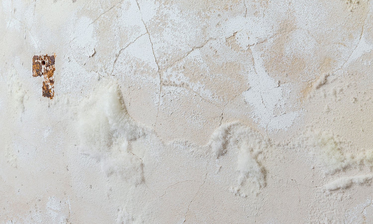 Salzausblühungen erkennen und beseitigen in Oldenburg