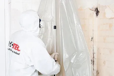 Schimmel an der Wand bekämpfen - Ursachen, Risiken und Lösungen