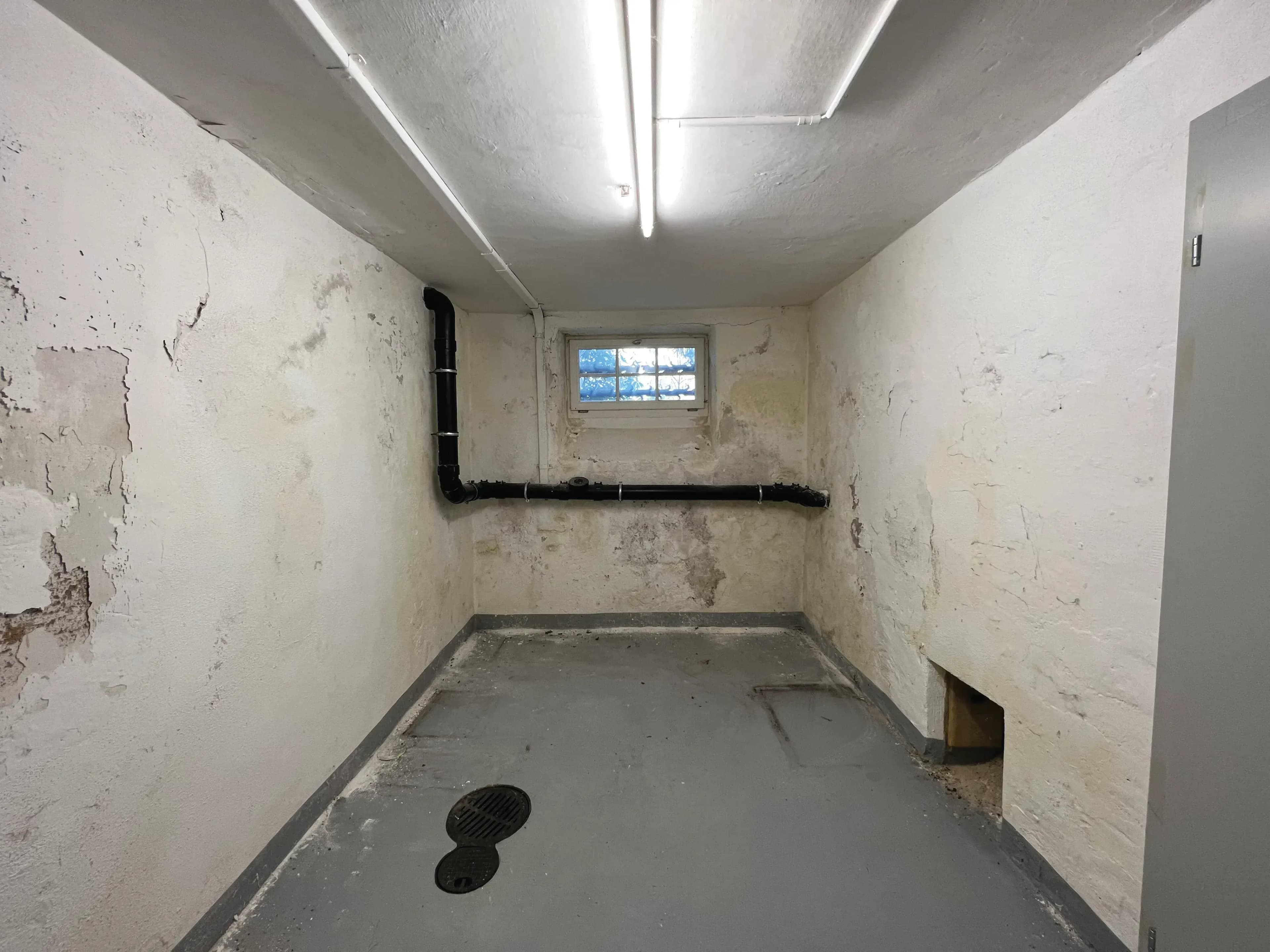 Feuchte Kellerwände - Ursachen, Folgen & Sanierungsmöglichkeiten