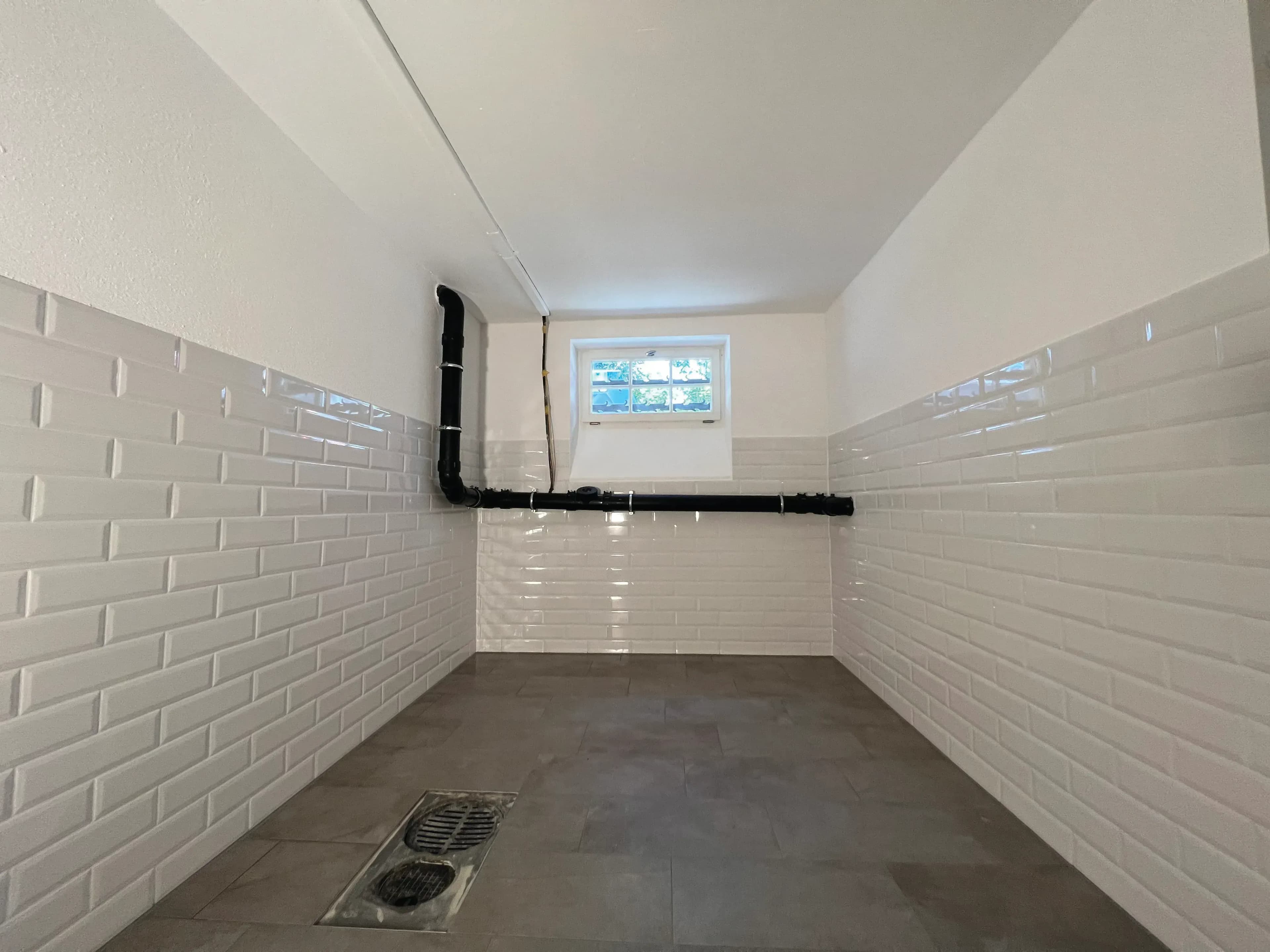 Feuchte Kellerwände - Ursachen, Folgen & Sanierungsmöglichkeiten